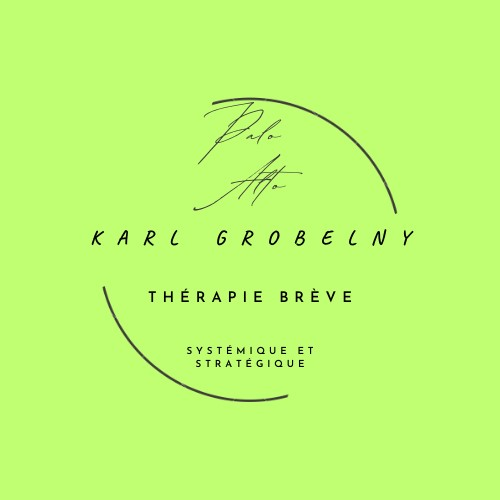 thérapie systémique brève