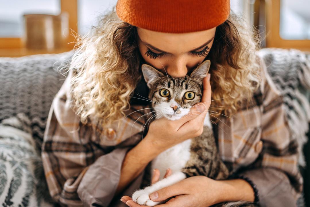 chat avec psychologue gratuit